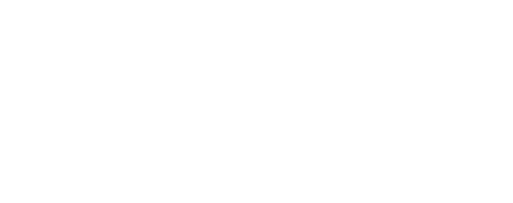 Festival International de Films de Fribourg Logo